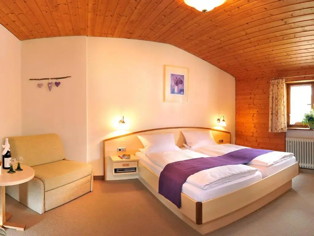 Standard Double room (full double bed)