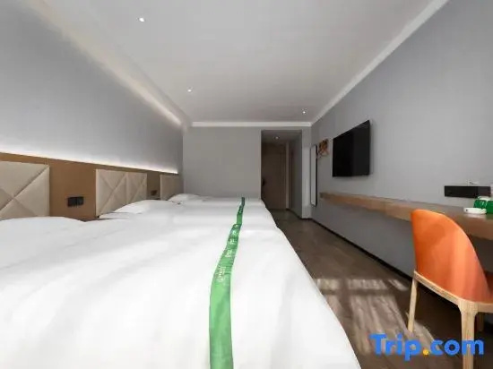 GreenTree Inn Tianjin Beiyang Bridge Business Hotel - Chambres