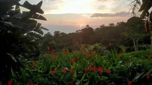 Hale Hualalai B&B