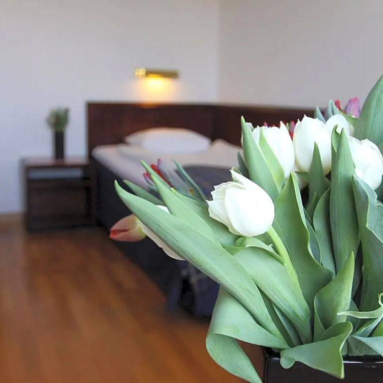 First Hotel Stadt - Chambres