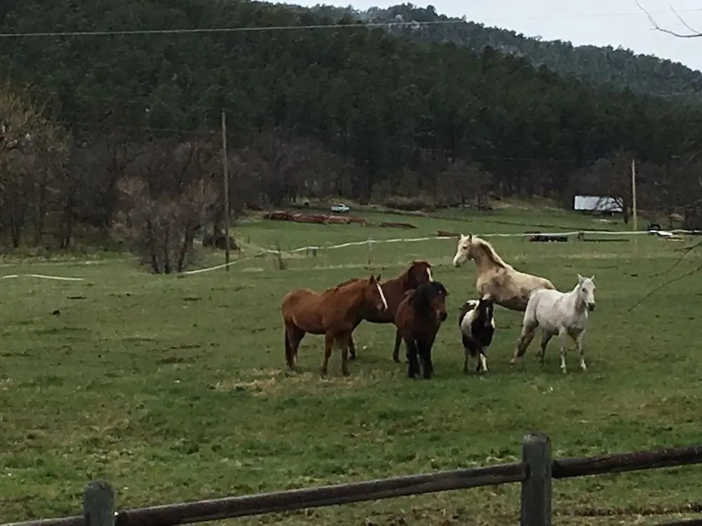 Ghost Canyon Guest Ranch & B&B