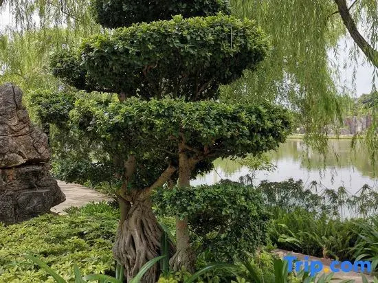 Maitreya Hongxiang Hotel (Honghe Water Town Giant Century Square Branch)