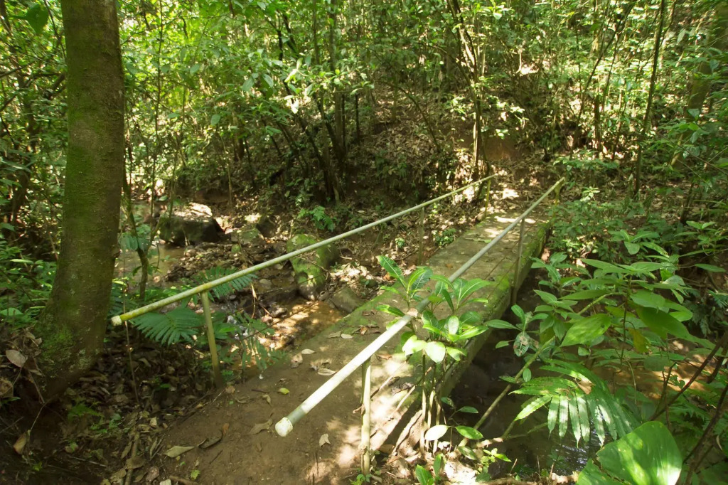 Villas Josipek - фото 33