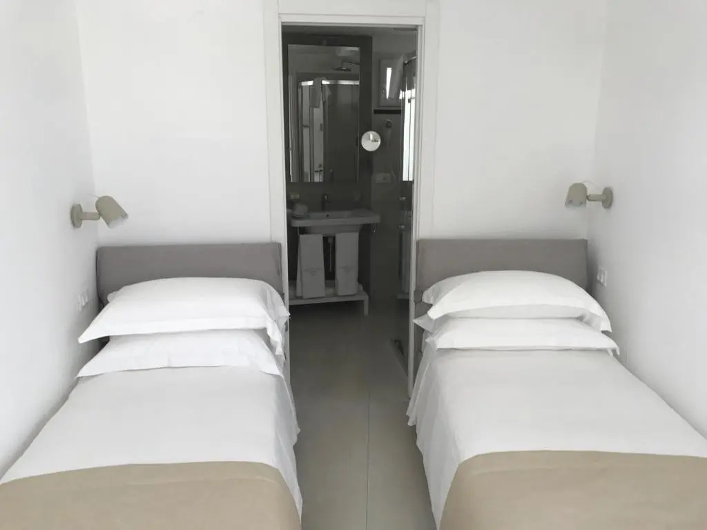 Standard Double room (twin beds)