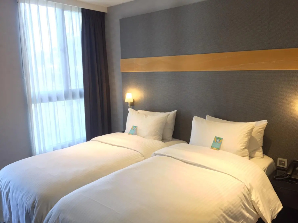 Superior Double room (twin beds)