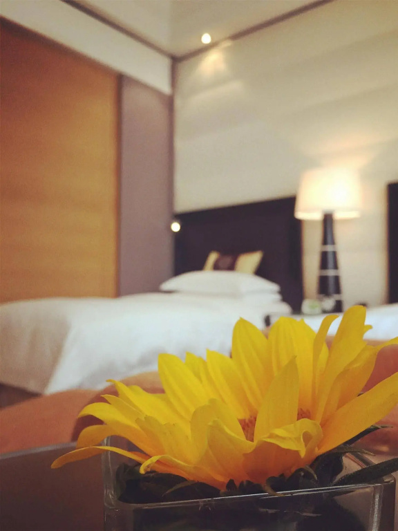 Hotel photo 36