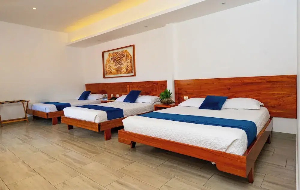Hotel Ninfa - Chambres