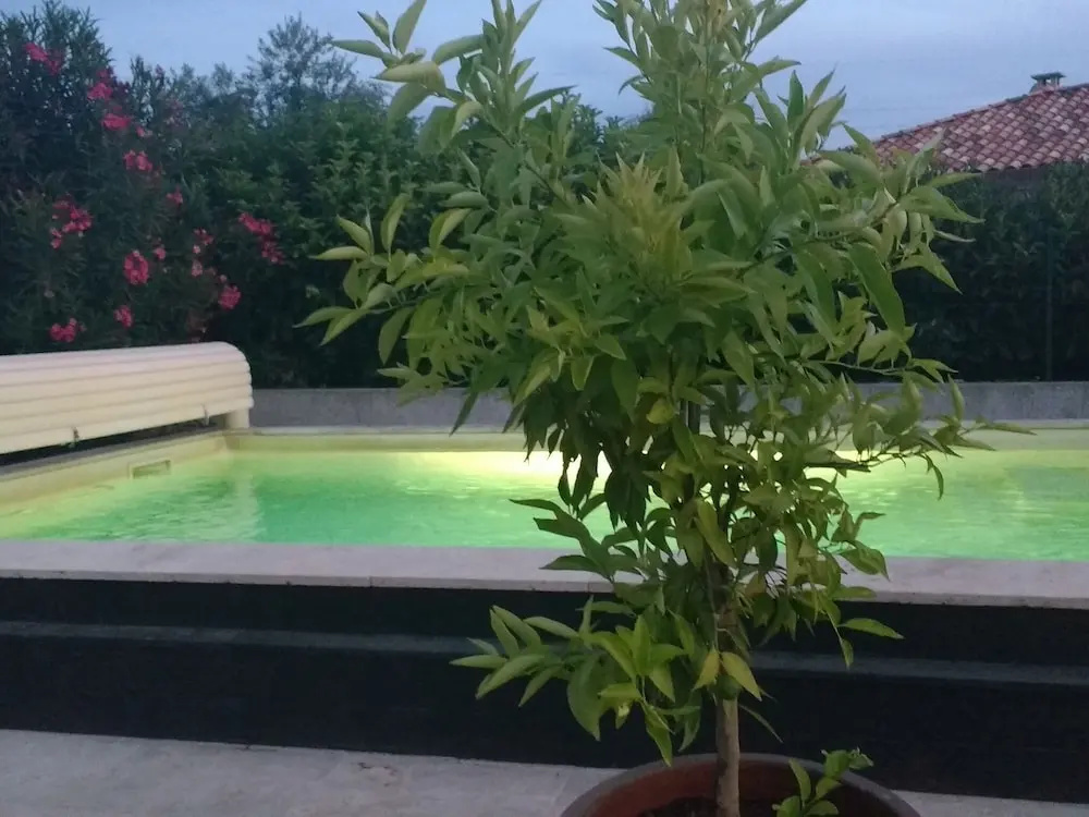 Lush Villa in Oletta With Private Swimming Pool