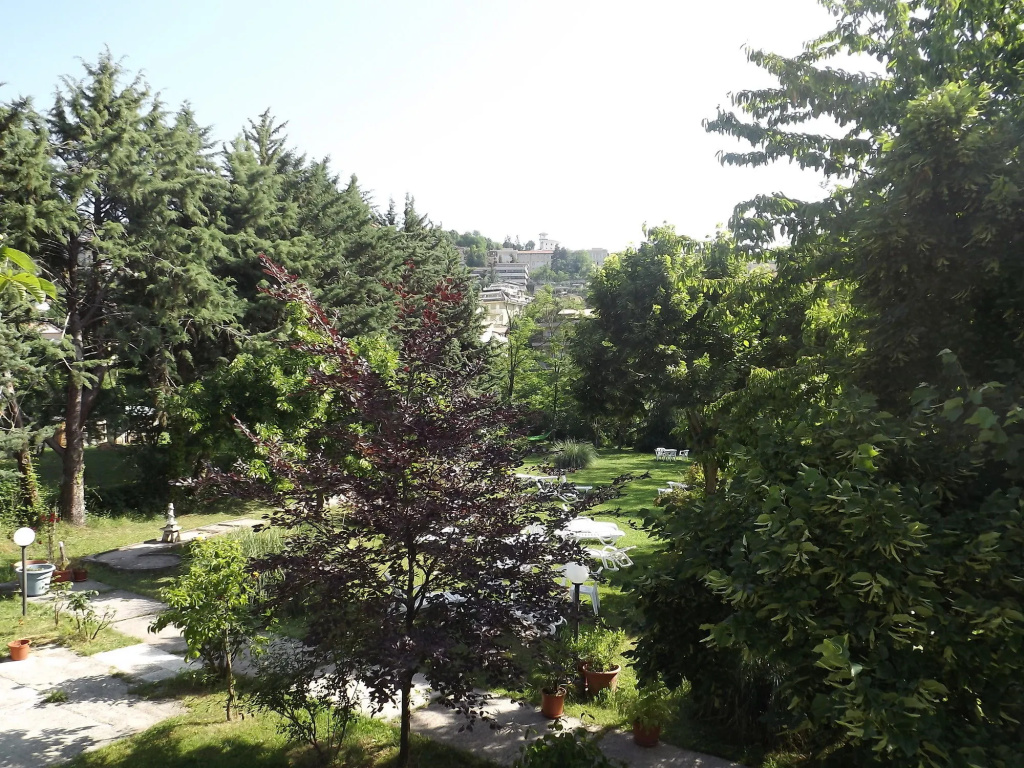 King Hotel - 2