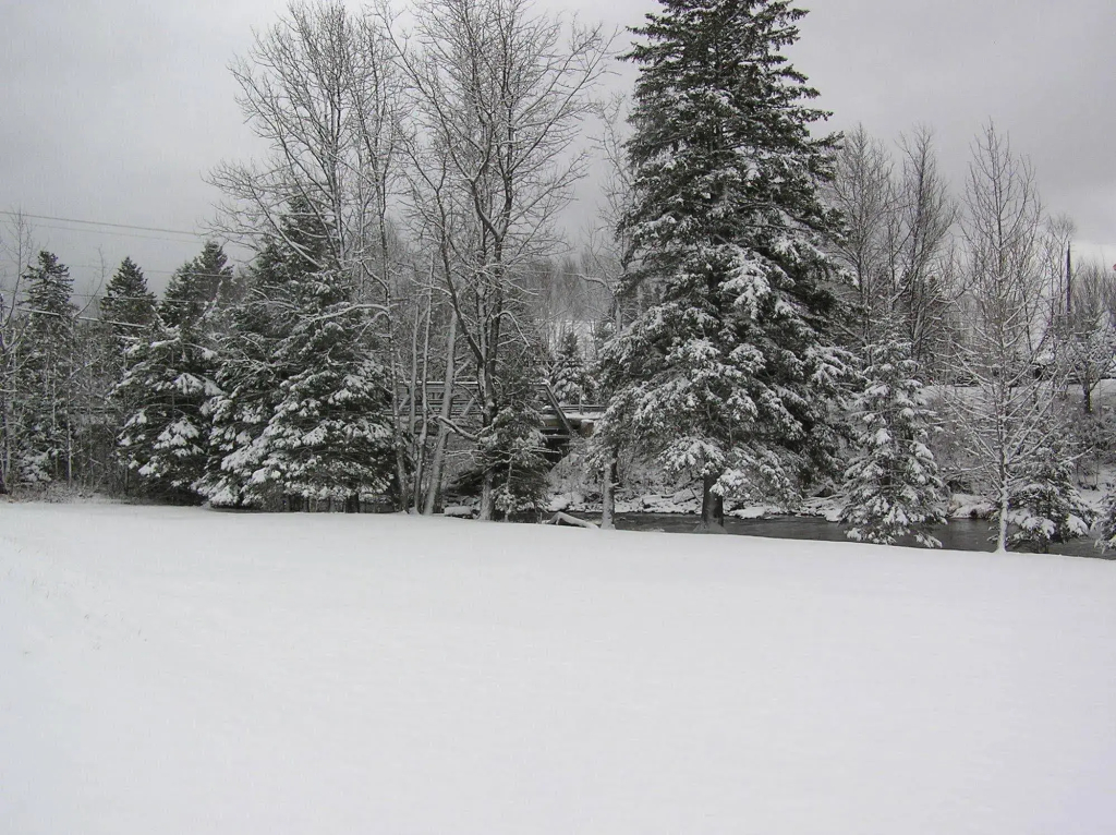 La Roma Motel - фото 12