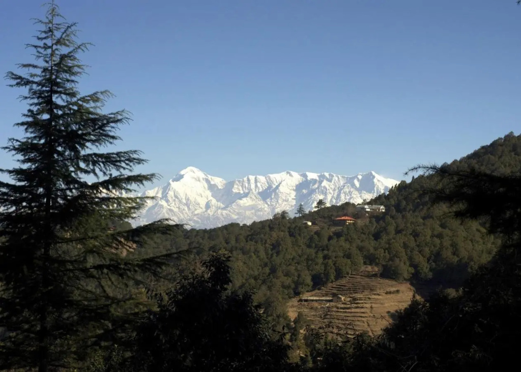 Tree of Life Grand Oak Manor, Binsar Wildlife Sanctuary - Général