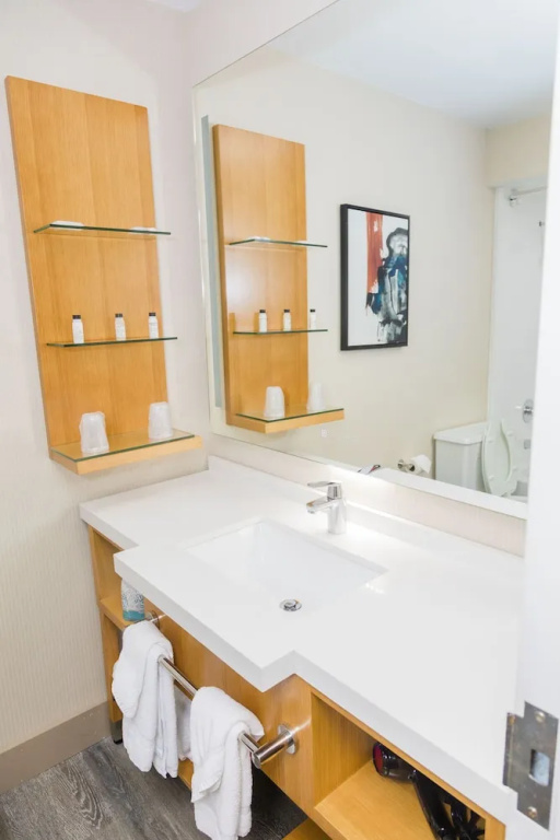 Delta Hotels by Marriott Columbia Northeast - Chambres