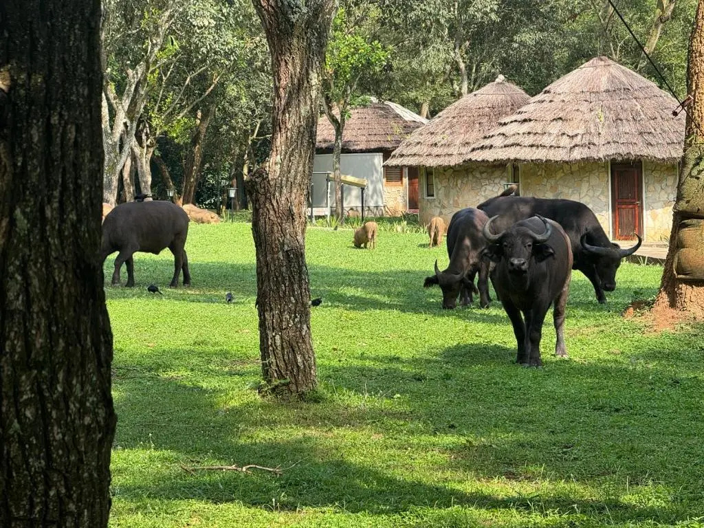 Sambiya River Lodge