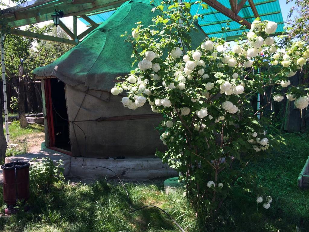 Тент в Turkestan Yurt Camp