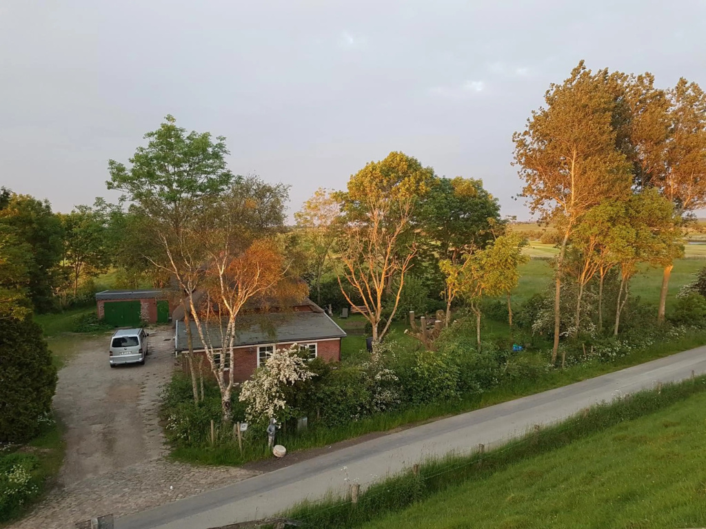 Ferienwohnung Diekblick - Kleiner Deichhof