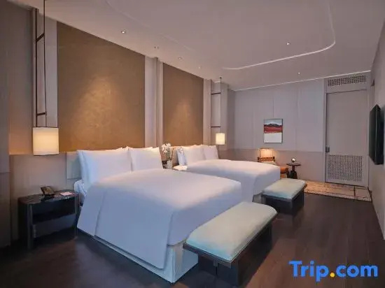 Premier Suite