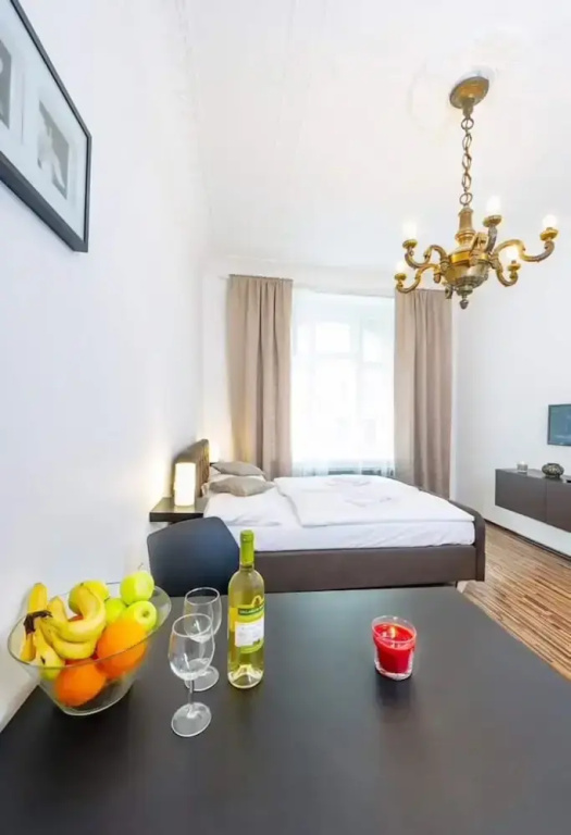 Superior Apartment with city view