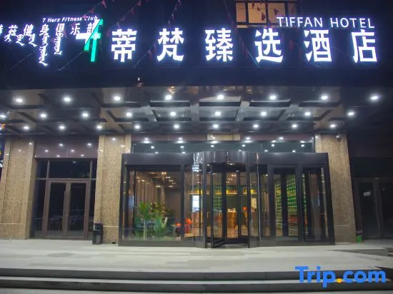 Tiffany Zhenxuan Hotel (Songshan hospital branch of Chifeng high speed railway station)