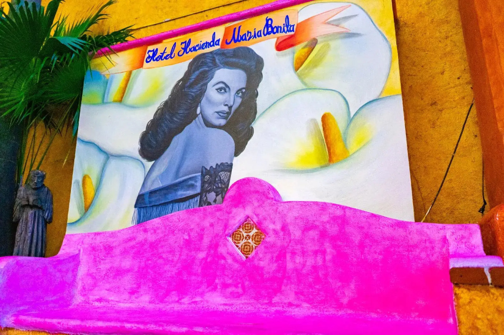 Hotel Hacienda Maria Bonita - Général