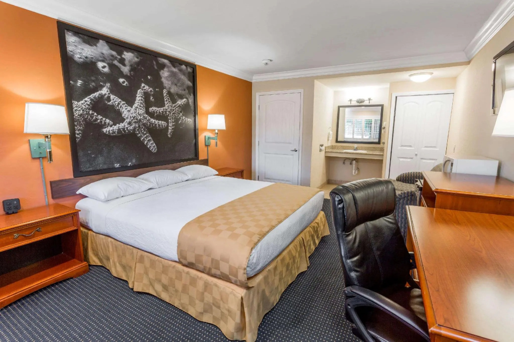 Aura Inn Monterey - Chambres