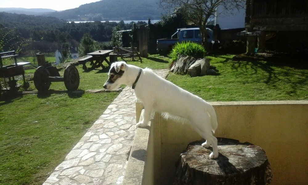 Classic Galician Stone Farmhouse With Sea Views Plus Converted Barn Attached