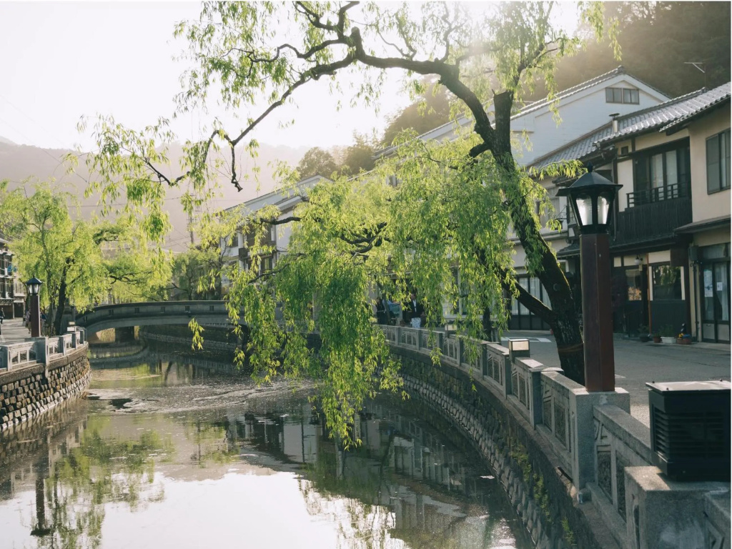 Yanagiso 사진 23