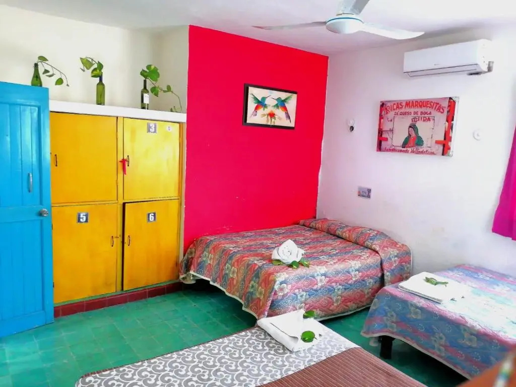 Bed in Dorm