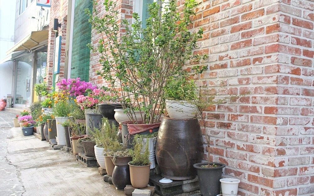 Image 30
