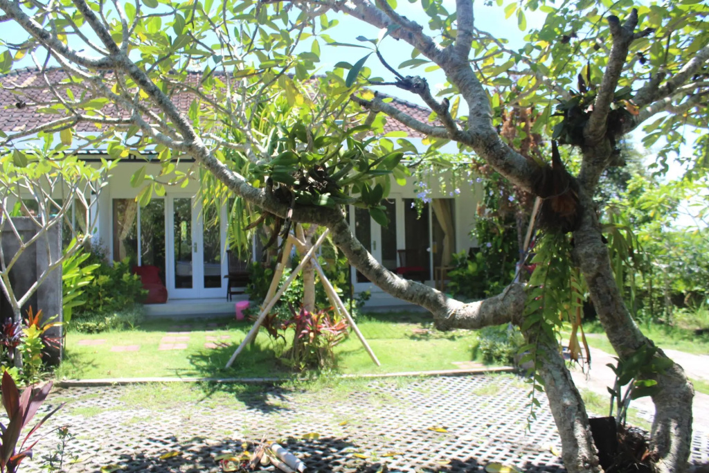 Summer Homestay
