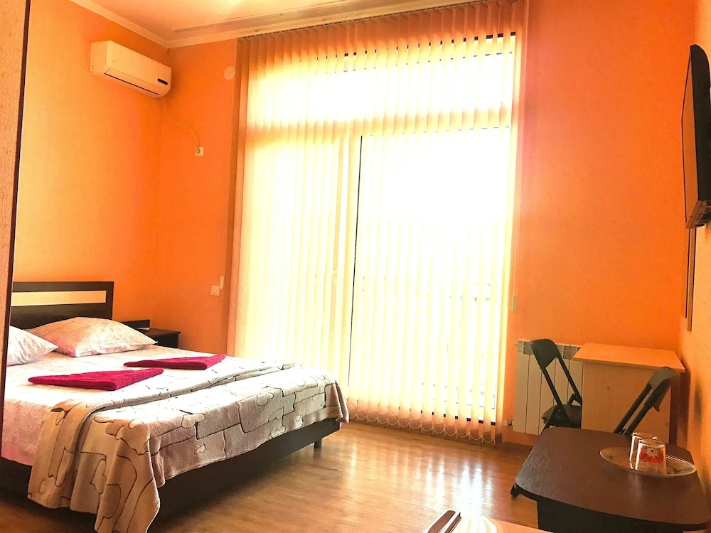 Standard Double room with city view (full double bed)