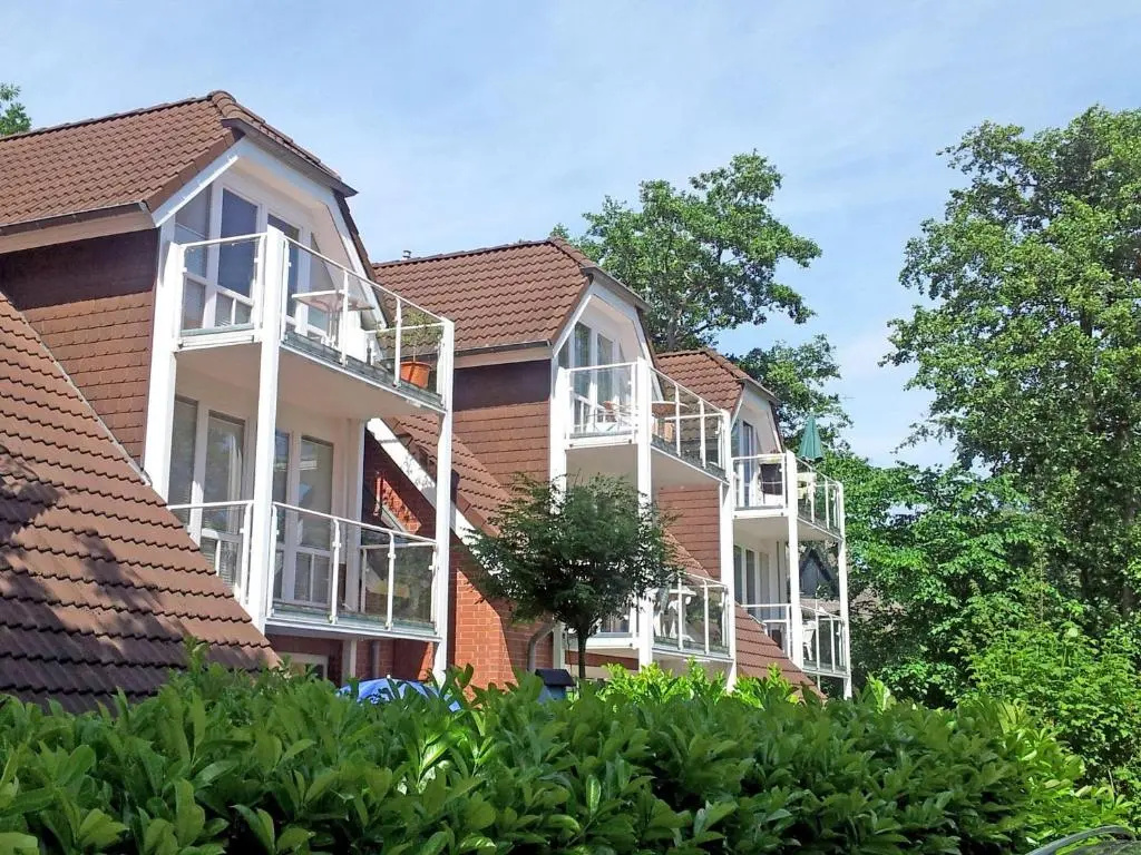 Birkenstrasse_6 i Wohnung 12