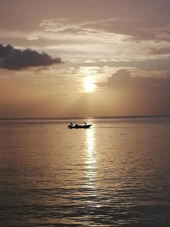 Gîtes Les Lodges des Hauts de Deshaies bungalow Aruba
