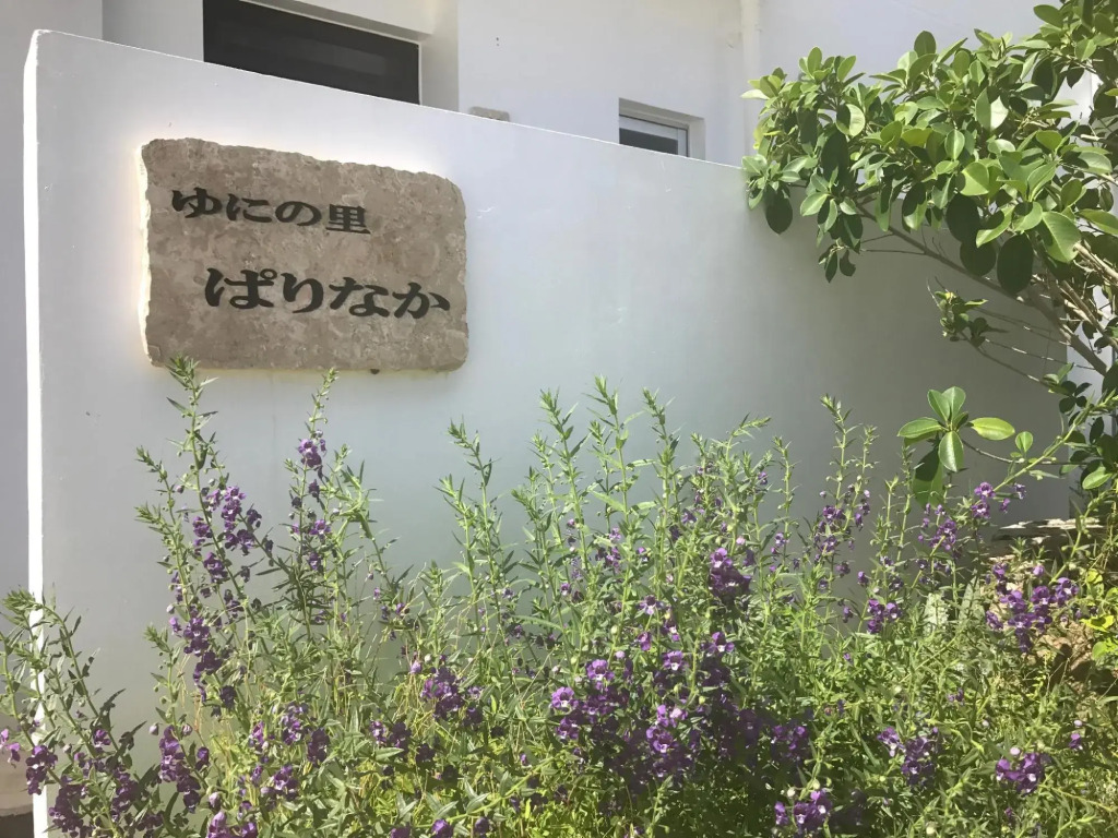 Image 13