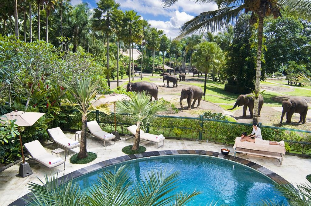 Mason Elephant Lodge - Général