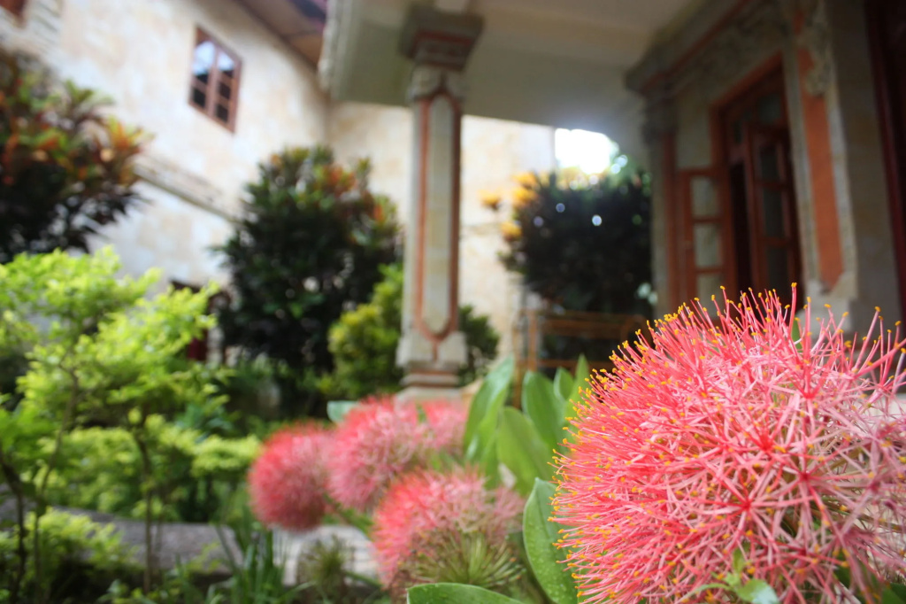 Rambutan Boutique Hotel & Spa - Général