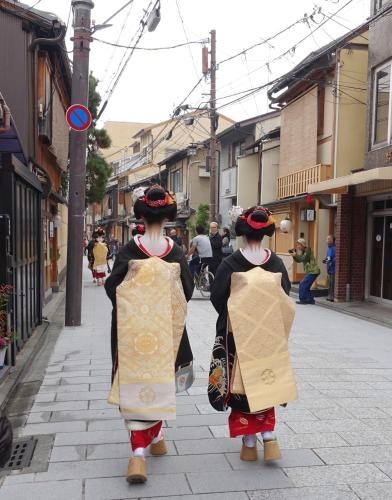 Kyomaru 사진 14