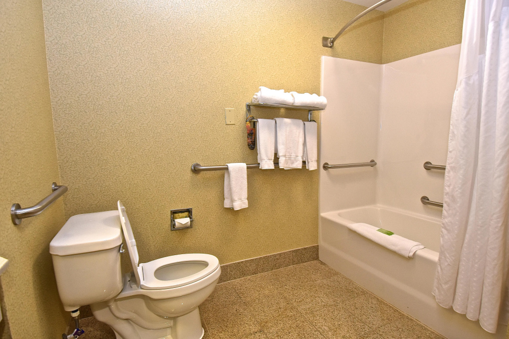 Holiday Inn Express & Suites St. Louis West - Fenton by IHG - Général