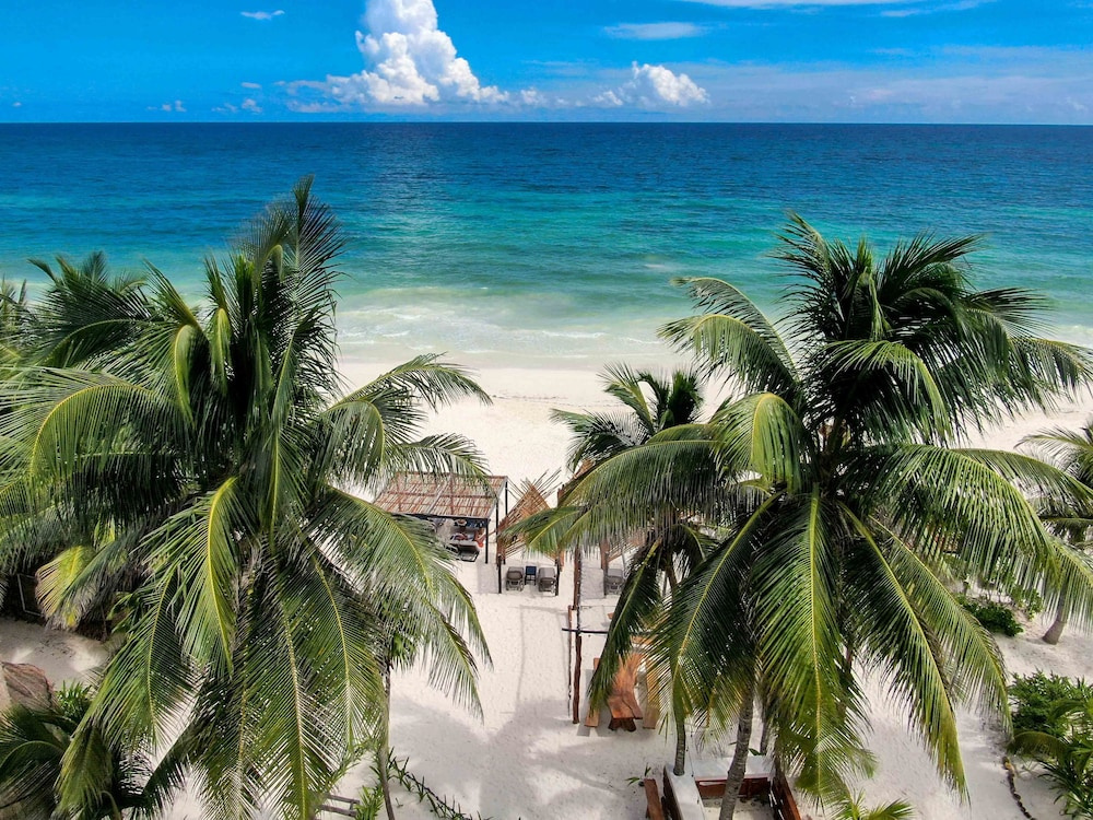 Bt Live Tulum - 5