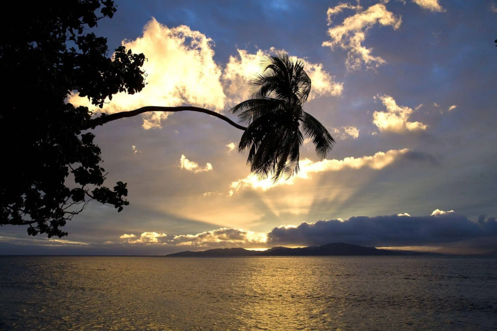 Beach & Waterfront
