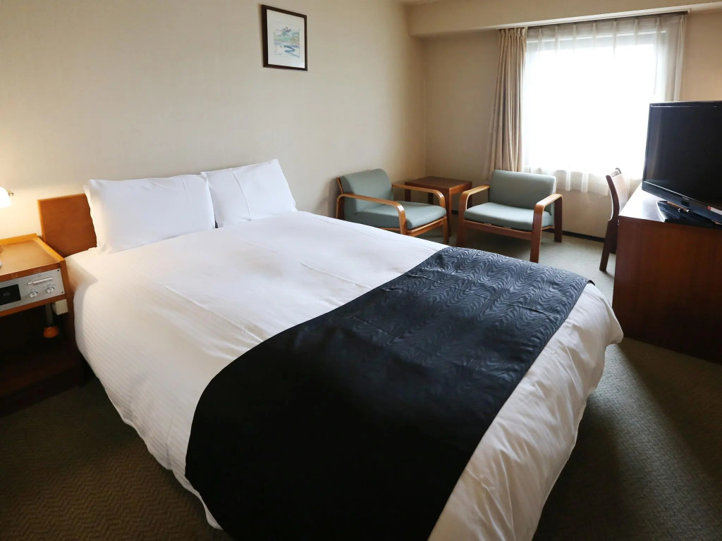 Standard Double room (full double bed)