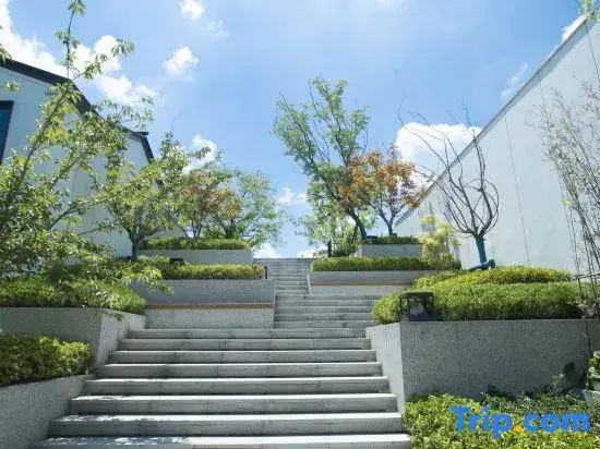 Yiyun Qingshe