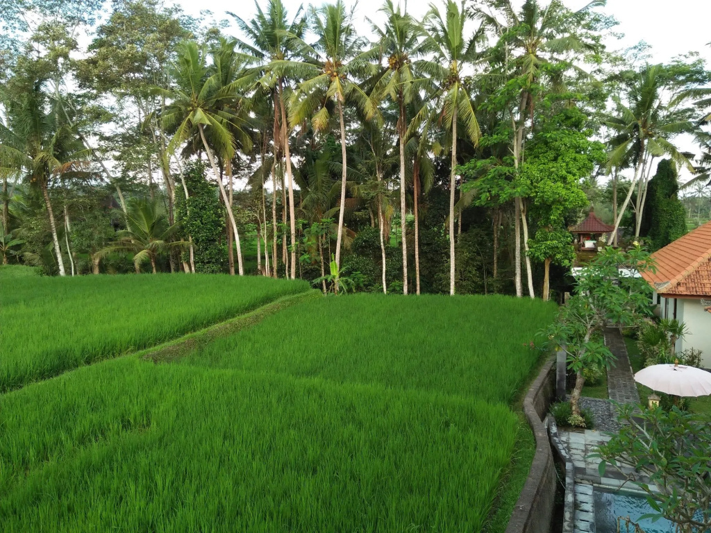 Kubu Bali Baik Villa & Resort - Général