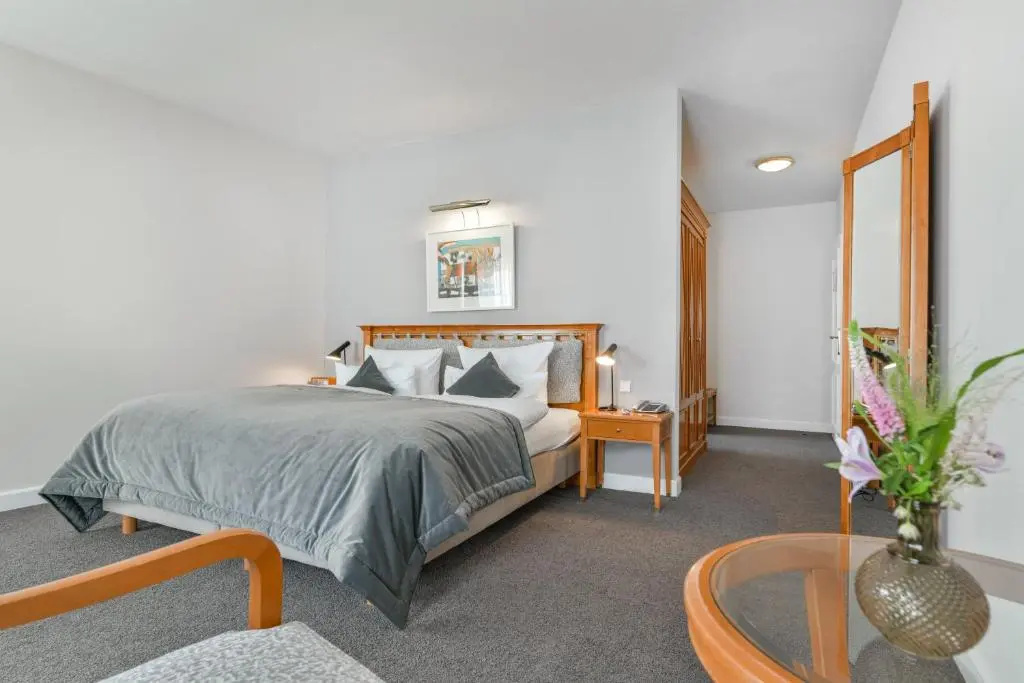 Deluxe Double room (full double bed)