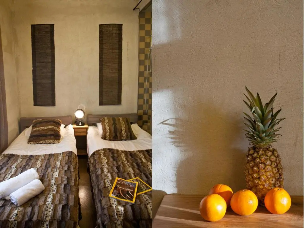 Standard Double room (twin beds)