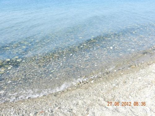 Beach & Waterfront