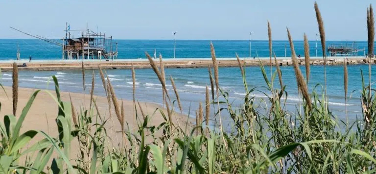 Locanda dell'Adriatica - Général