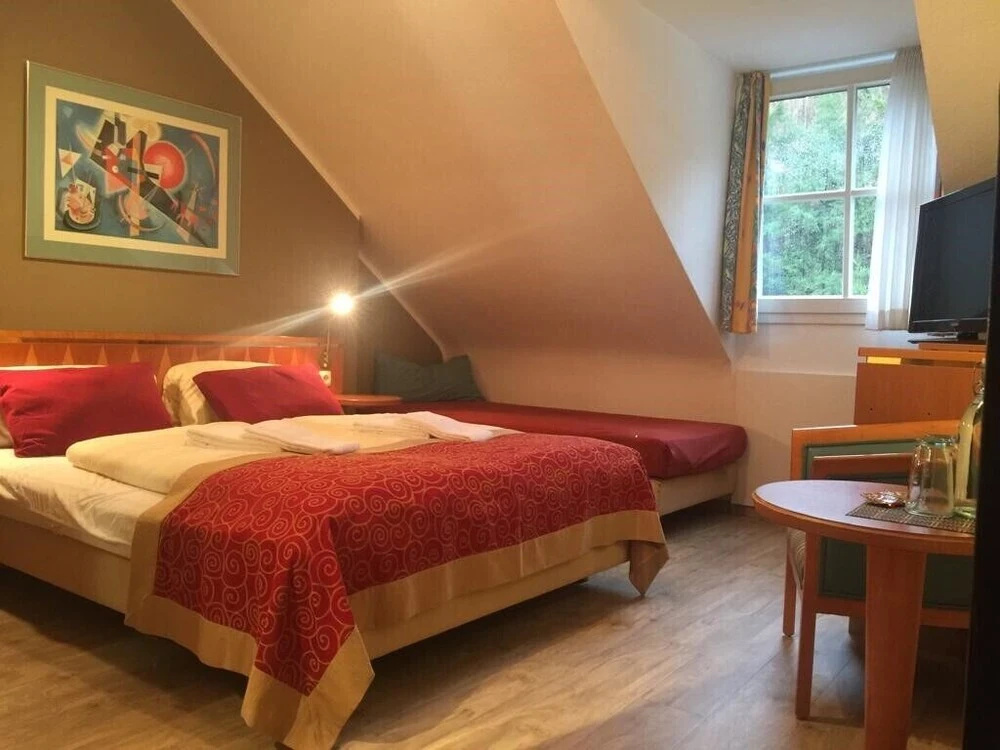 Hotel Alt Montjoie - Général