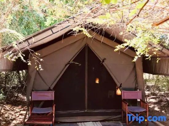Mahoora Tented Safari Camp - Wilpattu