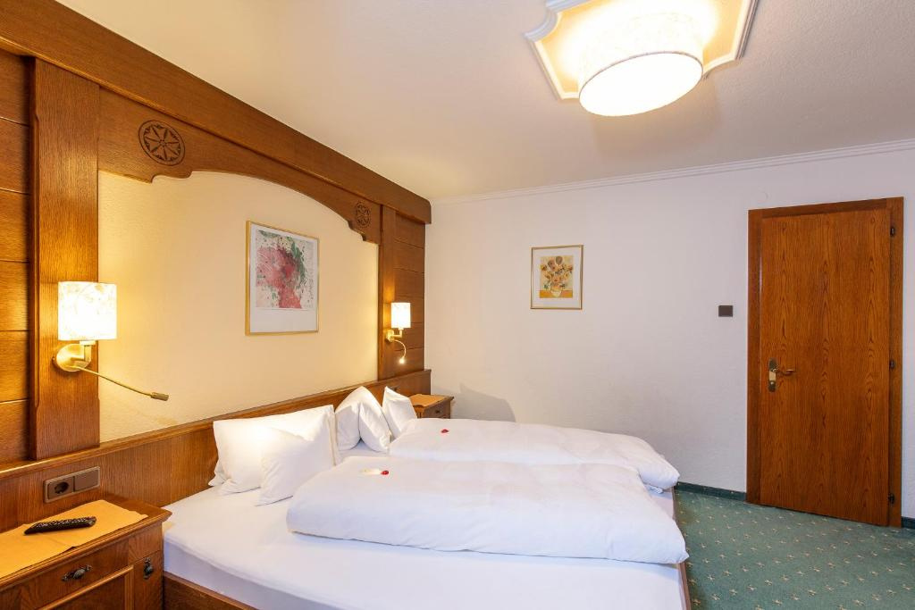 Standard Double room with mountain view (full double bed)