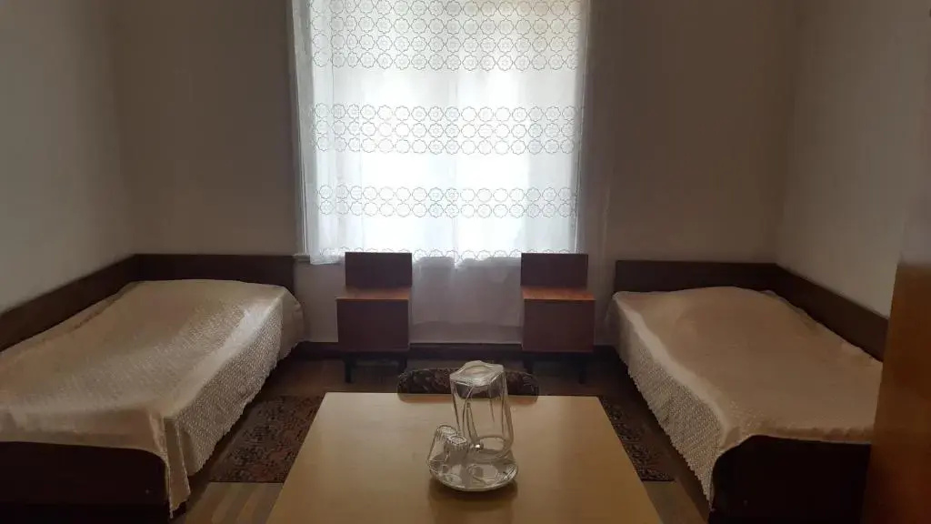 Standard Double room with balcony (twin beds)
